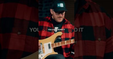 Get the LEMMY sound! ???????????? #lemmy #scottsbasslessons #rickenbacker