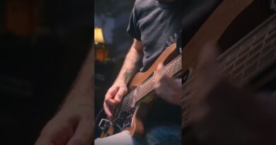 Guitar Notes are Overrated #metal #guitar #shorts