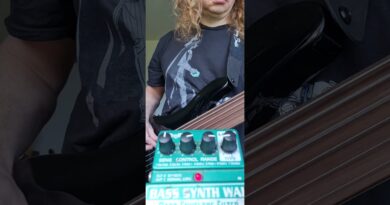 Harley Benton B-650 fretless vs. DigiTech #bass Synth Wah #guitarpedal