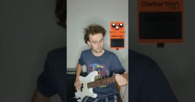 How Do These Overdrive/Distortion Pedals Sound on Bass? Leave a comment! #shorts #bass #music
