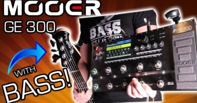 MOOER GE300 with BASS!