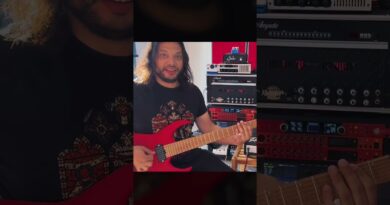 Misha Reviews The Invective Mini Head