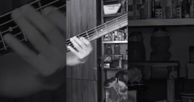 Muted Slap and Muted Pop bass lesson #slapbass #bass #basslesson #funk #musician