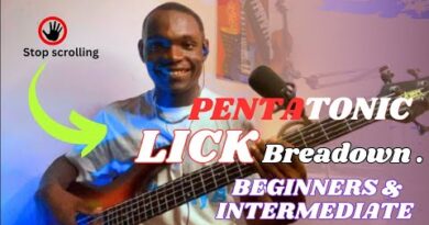 PENTATONIC LICK BREADOWN FOR BEGINNERS & INTERMEDIATE BASS PLAYERS #basslesson #bigginers #basslick