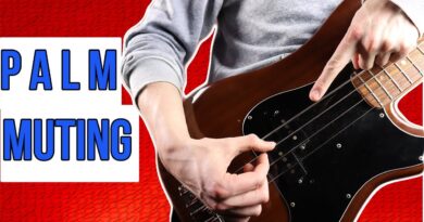 Palm Mute Bass Technique - Step By Step Walkthrough!
