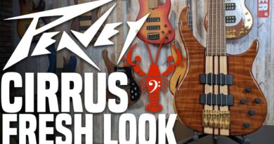 Peavey Cirrus USA 5 - The Last Hoorah of an American Music Icon - LowEndLobster Fresh Look