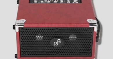 Phil Jones Bass Bass Cub Pro (BG-120) - What Does it Sound Like?