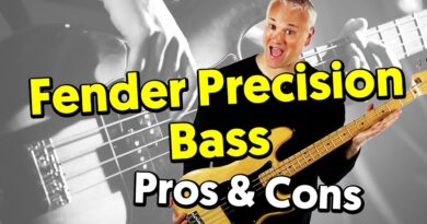 Pros and Cons of the Fender Precision Bass