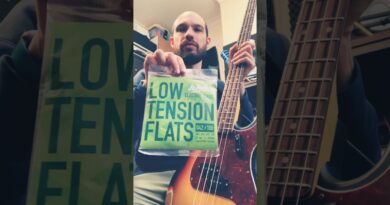 The Best Flatwound Bass Strings (for me!) ​@labellastrings1913  #bassstrings #flatwounds #bass