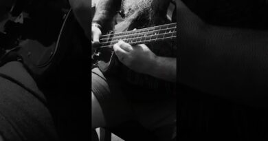 The Weirdest sound on my Pedalboard!  #bass #basspedalboard #synthesizer