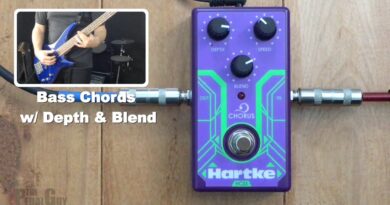 ThePedalGuy Presents the Hartke HC33 Bass Chorus Pedal