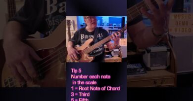 Tip 5  Beginner Bass Guitar Lesson - Learn FAST ! - Music Demo Video #musicproduction #basslessons