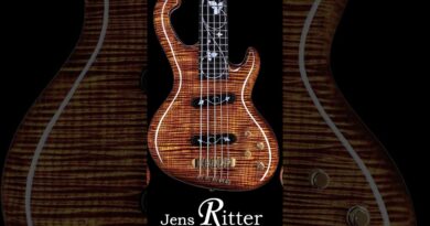 Top 5 most expensive bass guitars ever!