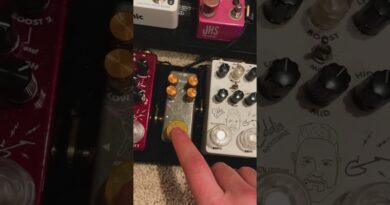 What Guitar Pedals are you guys running?