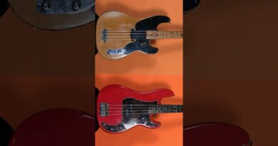What's the difference between these 2 P basses? #bass #bassguitar #pbass