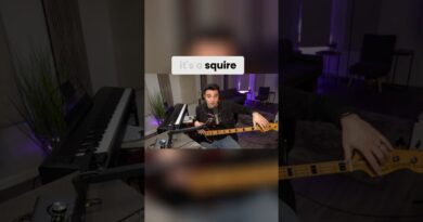 Would You Play A Squier P-Bass Over a Fender? #fender #bassguitar #guitarist #pbass