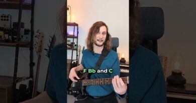 every beginner should learn this simple bass line ???? @freddiethebassist #shorts  #bass #bassguitar