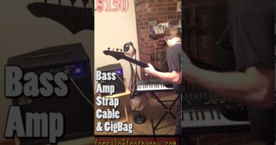 $150 Bass, Amp, Cable, Strap, & Gigbag - forsale@frethappy.com