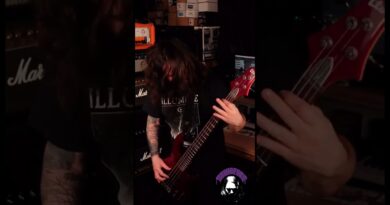 @FuzzlordEffects  Drone Master on Bass!   #pedal #doom #bass #shorts