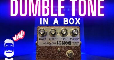 Amplified Nation Big Bloom - OMG This Is AMAZING! Dumble Amp Tone In A Box!