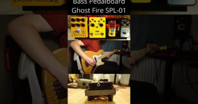 Bass Pedalboard for Rock with Ghost Fire SPL-01, EBS MultiComp and Caline Wine Cellar