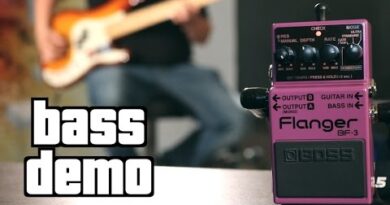 Boss BF-3 Flanger Bass Demo
