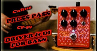 Caline CP-59 Press Pass Driver & DI for Bass