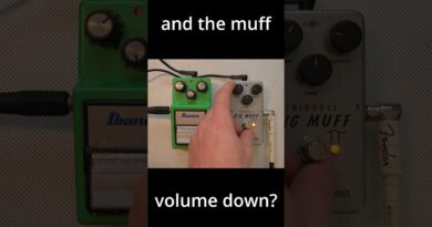 DO IT RIGHT! - How to use a TS9 and Big Muff
