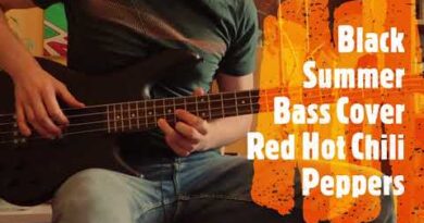 Dark Summer RHCP Bass Cover