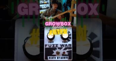 Death by Audio Fuzz War Review