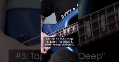 Dial It In: Quick tips for dialing in a slap tone with the TLC Compressor and the AG Preamp/DI