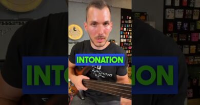 Do NOT Buy A Fretless Bass Unless You've Watched This Video!!