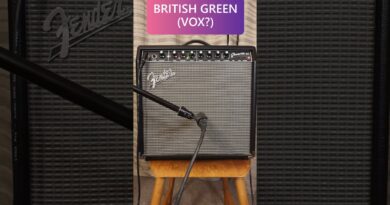 Fender Champion 40: three settings with a Rickenbacker #shorts