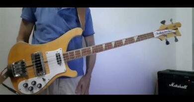 Flash - Shadows (It's You) - Bass Cover