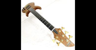 HIGH END BASSES: Moon MBC5 BASS DEMO / BASS REVIEW