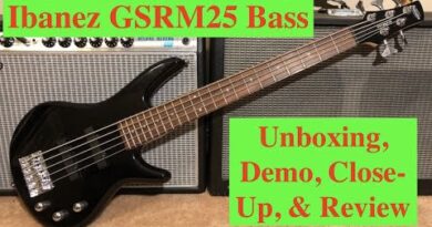 Ibanez GSRM25 Mikro Short Scale 5-String Bass Unboxing, Demo, and Review