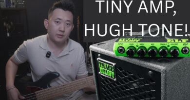 Is the Trace Elliot ELF the Best Mini Bass Amp Ever? Full Review + Sound Test