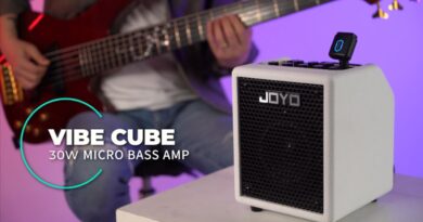 JOYO BA-30 VIBE CUBE - 30W Micro Bass Amp
