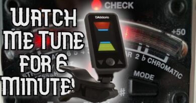 Let's Review! - D'addario Eclipse Tuner