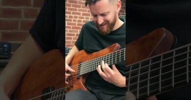 Manne Multi 6-String Bass ✨ #manne #scottsbasslessons #sbl #giveaway