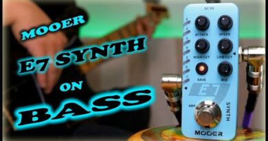 Mooer E7 Synth (Bass Demo)