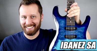 New Guitar Day! - The Affordable And Beautiful IBANEZ SA!