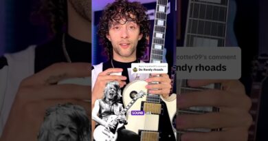 Randy Rhoads OZZY GUITAR sound.