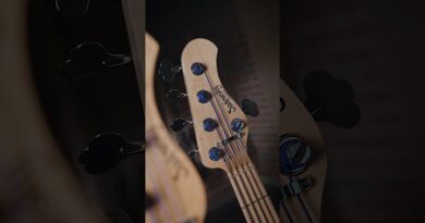 Sadowsky MetroLine PJ | 4 or 5-String? What would your choice be?