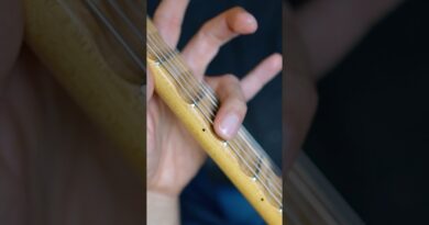 Scalloped exactly where tone is best #fretboard #yngwie #bluesrock #scallopedfretboard