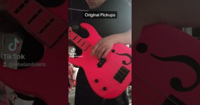 Seymour Duncan SPB-3 Quarter-Pound Pickup for P-Bass Review #seymourduncan #seymourduncanpickups