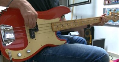 Stellartone ToneStyler - Precision Bass
