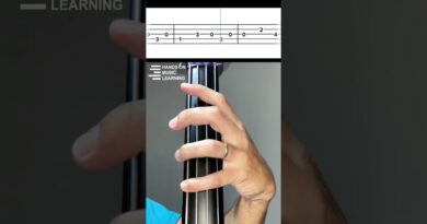 Sway on Upright Bass | Michael Buble