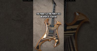 THIS GUITAR IS JUST RIDICULOUS...