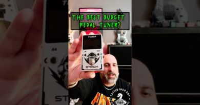 The Best Budget Tuner Pedal? #shortvideo